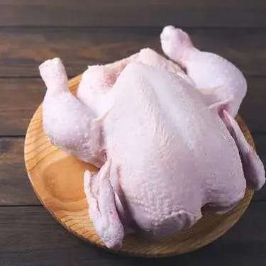 LIVE CHICKEN BIG WITH SKIN